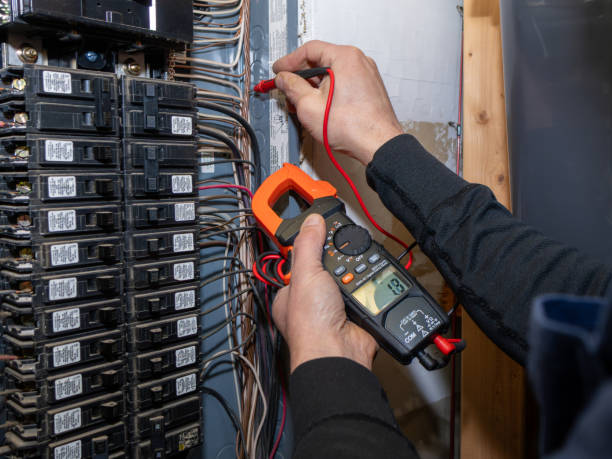 Best Electric Panel Repair  in Cumming, GA